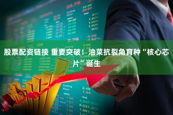 股票配资链接 重要突破！油菜抗裂角育种“核心芯片”诞生