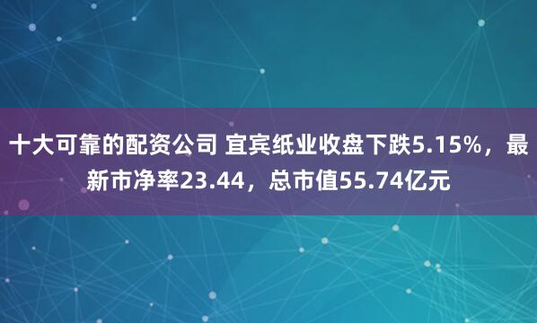 十大可靠的配资公司 宜宾纸业收盘下跌5.15%，最新市净率23.44，总市值55.74亿元