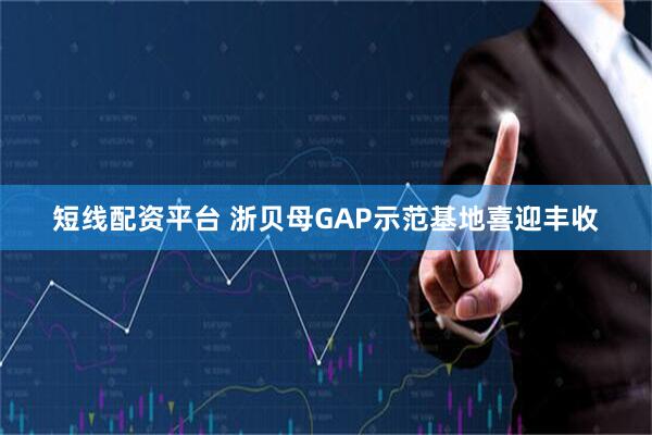 短线配资平台 浙贝母GAP示范基地喜迎丰收